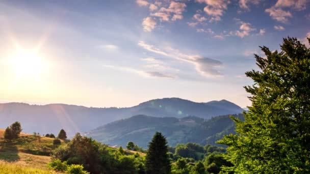 Wonderful Forest Grassy Meadow Sunset Golden Sun Touches Horizon End — Αρχείο Βίντεο