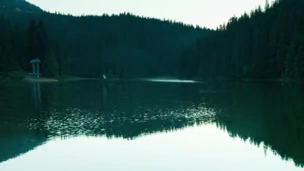 Prachtige Natuur Een Prachtig Landschap Met Weelderige Groene Bossen Vegetatie — Stockvideo