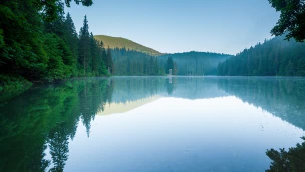 Beautiful Nature Wonderful Landscape Lush Green Forests Vegetation Pearl Carpathians — Stock Video