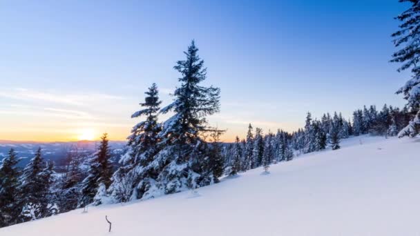 Schöne Winterlandschaft Den Bergen Aufgehende Sonne Bricht Durch Die Schneebedeckten — Stockvideo