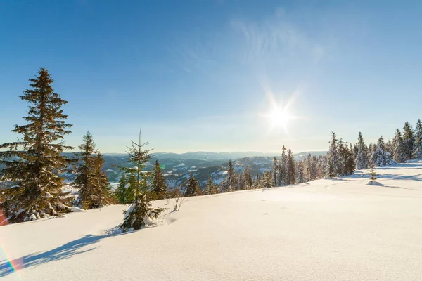 Herrlich Majestätische Winterlandschaft Die Vom Sonnenlicht Erleuchtet Wird Winterliche Szene — Stockfoto