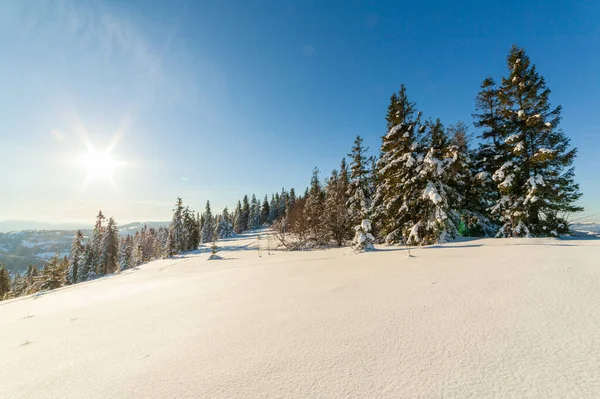 Herrlich Majestätische Winterlandschaft Die Vom Sonnenlicht Erleuchtet Wird Winterliche Szene — Stockfoto