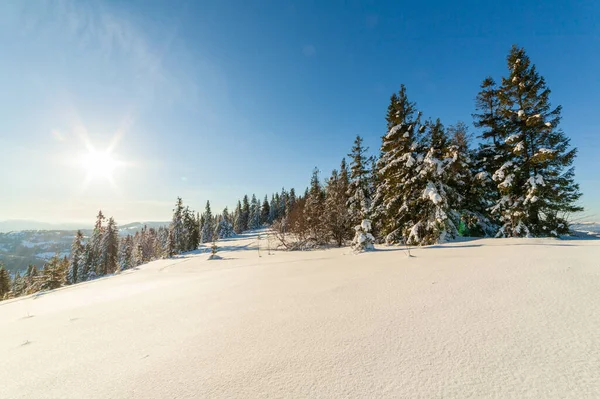 Paisaje Invierno Maravillosamente Majestuoso Que Brilla Por Luz Del Sol Fotos de stock libres de derechos