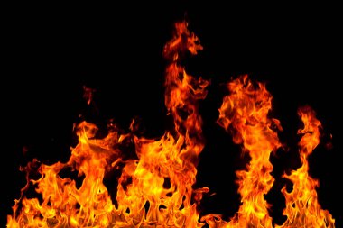 Köye yakın ağaçlık alanda çiçekler açıyor. Çiçeklere yakın çekim. Yüksek kalite fotoğraf