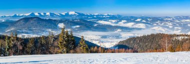 Karla kaplı dağ zirvesi rüzgarla esiyor. Kış manzarası. Soğuk bir gün, karlı..
