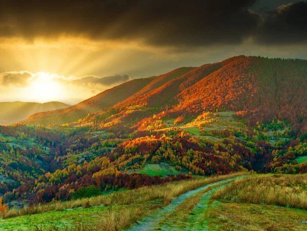 Ukraine Warm Autumn Transcarpathian Village Picturesque Beech Birch Pine Forests — Stockfoto