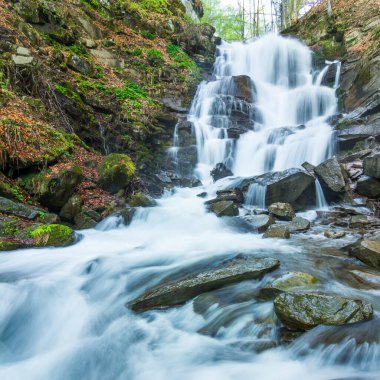 Bahar nehri manzarası. Bahar zamanı bir dağ ormanında hızlı akarsu. Yüksek kalite fotoğraf