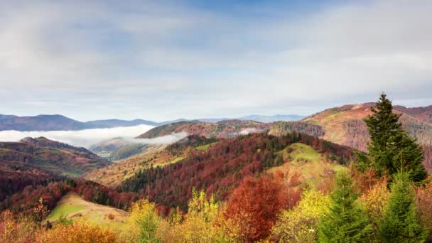 Nádherná Podzimní Krajina Krásnou Modrou Oblohou Majestátní Mraky Forest Sunset — Stock video