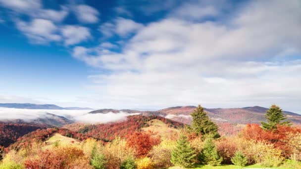 Maravilhosa Paisagem Outono Com Céu Azul Bonito Nuvens Majestosas Floresta — Vídeo de Stock