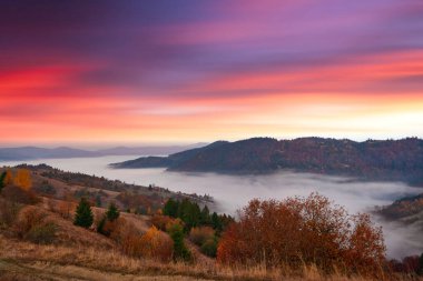 Ukrayna. Karpatlar 'da sonbahar sıcağı. Synevyr Dağları 'nın yamaçlarında gün batımına karşı parlak renklerle parıldayan çok güzel resimler, kayın, huş ağacı ve çam ormanları. Yüksek