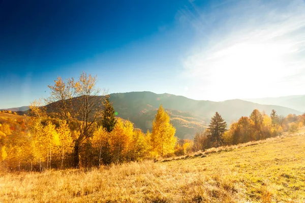 Ukrayna. Harika bir sahne. Dağlı ve bulutlu çok güzel bir kış günbatımı. Güneş ışınları, bulutların kalınlığını aşıyor, etraftaki her şeyi büyülü ışıkla boyuyor. Karpatlar. Yüksek