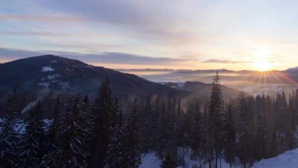 在寒冷的晨曦中 空中俯瞰着冬季森林群山的日出 那里有许多冰雪覆盖的树木和寒冷的自然景观 Hight Quality Timpass — 图库视频影像