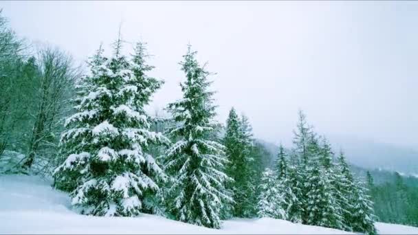Sneeuw Valt Neer Bosbomen Bergen Prachtige Video Clip Gefilmd Koude — Stockvideo