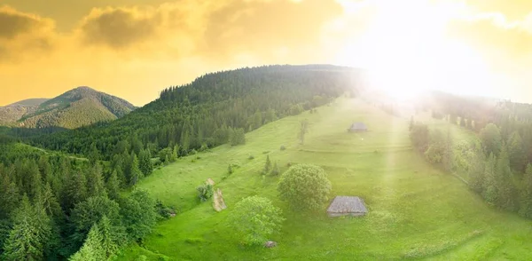 Weitwinkelpanorama Von Schönen Wiesen Hügeln Und Bäumen Auf Der Lichtung lizenzfreie Stockfotos