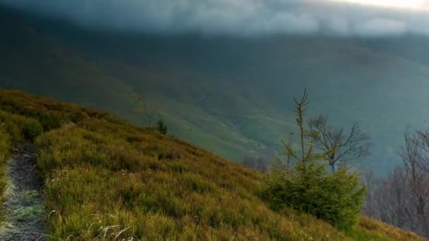 Cárpatos Pylypets Ucrania Montaña Nube Vista Superior Paisaje Timelapse Cordillera — Vídeos de Stock
