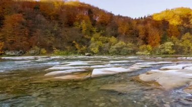 Dağ nehri akan suları taşır. Sonbahar dağ deresi. Doğal akış. Ukrayna 'daki Stry Dağı' nda turizm ve seyahat. Sonbaharın muhteşem doğal manzarası. Alp nehirlerinin akıntıları