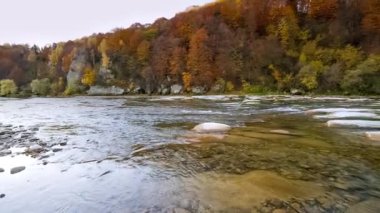 Dağ nehri akan suları taşır. Sonbahar dağ deresi. Doğal akış. Ukrayna 'daki Stry Dağı' nda turizm ve seyahat. Sonbaharın muhteşem doğal manzarası. Alp nehirlerinin akıntıları