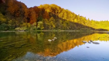 Dağ nehri akan suları taşır. Sonbahar dağ deresi. Doğal akış. Ukrayna 'daki Stry Dağı' nda turizm ve seyahat. Sonbaharın muhteşem doğal manzarası. Alp nehirlerinin akıntıları