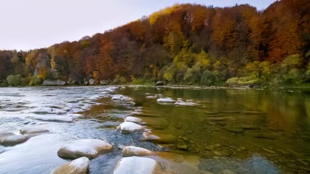 Górska Rzeka Spływa Wodą Jesienny Górski Potok Naturalny Strumień Turystyka — Wideo stockowe