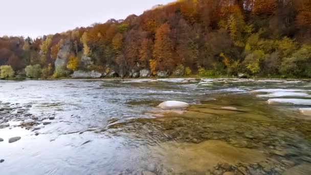 Górska Rzeka Spływa Wodą Jesienny Górski Potok Naturalny Strumień Turystyka — Wideo stockowe