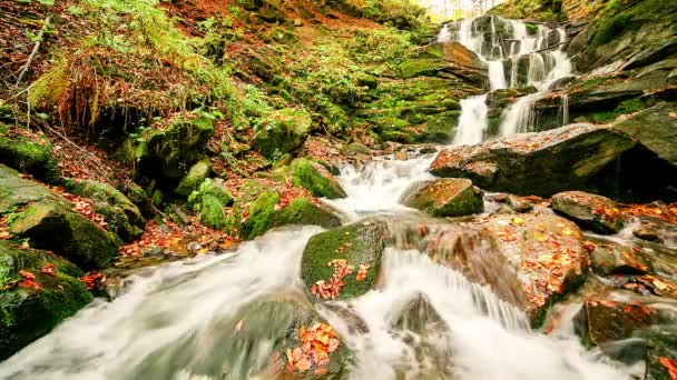 Ukpaine Cascada Entre Las Rocas Musgosas Hermosos Rápidos Paisaje Río — Vídeo de stock