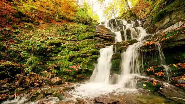 Ukpaine Cascada Entre Las Rocas Musgosas Hermosos Rápidos Paisaje Río — Vídeos de Stock