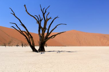 sesrie yakın nanib çölde Sossusvlei ölü vadi peyzaj