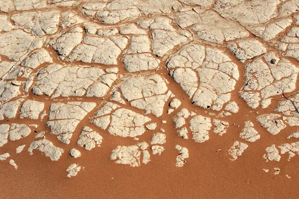 Soil detail of a dry pan, in the Sossusvlei sand dunes, Namib de — Stock Photo, Image