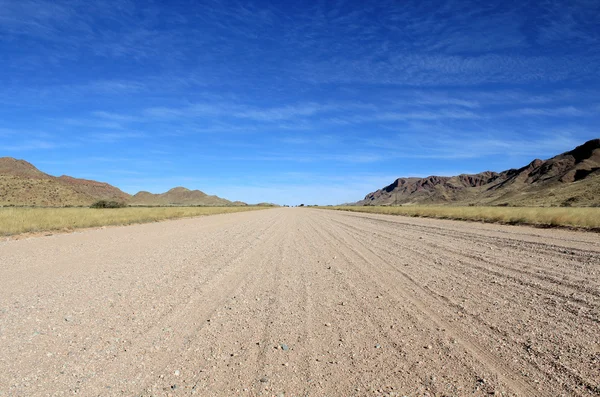 Çimenli savannah namib Çölü yol arka planda dağlar — Stok fotoğraf