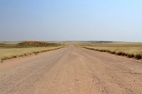 Savannah gramado em Naukluft Park, Namiba (Estrada para Sesriem a partir de W — Fotografia de Stock