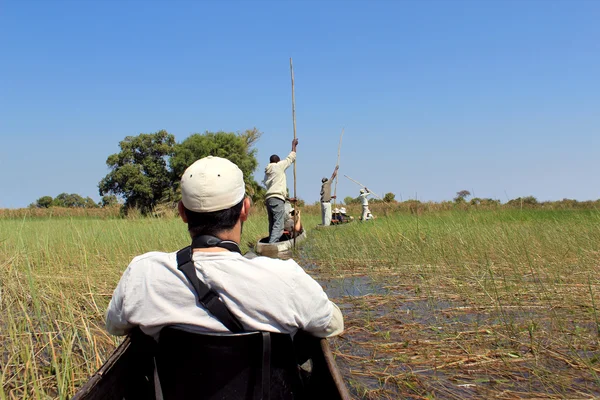 Rida i en traditionell okavango delta mokoro kanot, genom r — Stockfoto