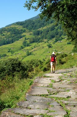 Himalaya Dağları, annapurna koruma regi parkur