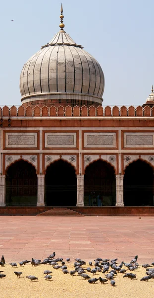 JAMA masjid moskén — Stockfoto