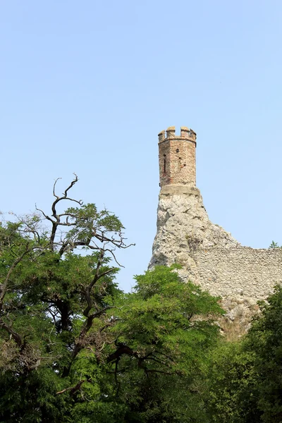 Замок Девин под Братиславой (на границе с Австрией) ) — стоковое фото