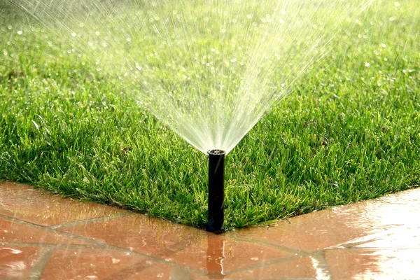 Автоматическая система полива сада, полив газона Стоковое Фото