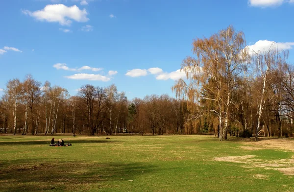 Tiergarten mitte stadtpark — Stockfoto