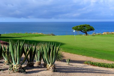 Golf Sahası denize