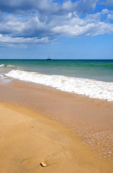 Escenario de la costa del Algarve — Foto de Stock