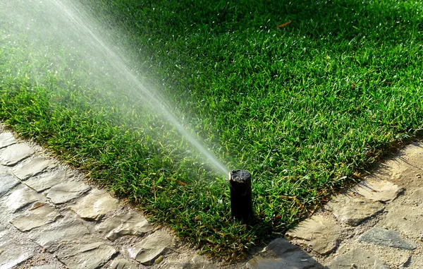 Système d'irrigation de jardin — Photo