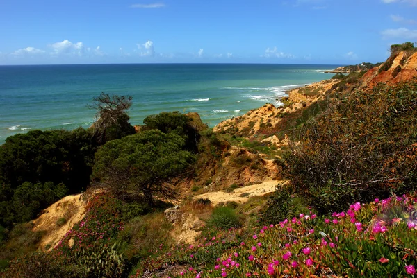 Scénario plage — Photo