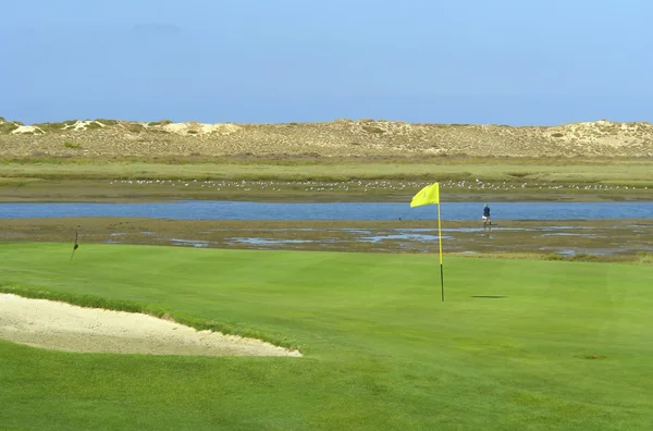 Golfbaan in ria formosa ecosysteem landschap — Stockfoto