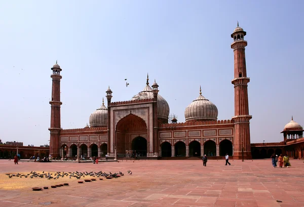 Moschea di Jama Masjid — Foto Stock