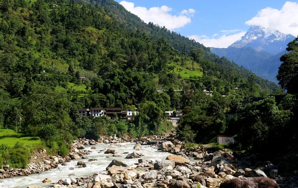 河寒气绿色稻田山风景 — 图库照片