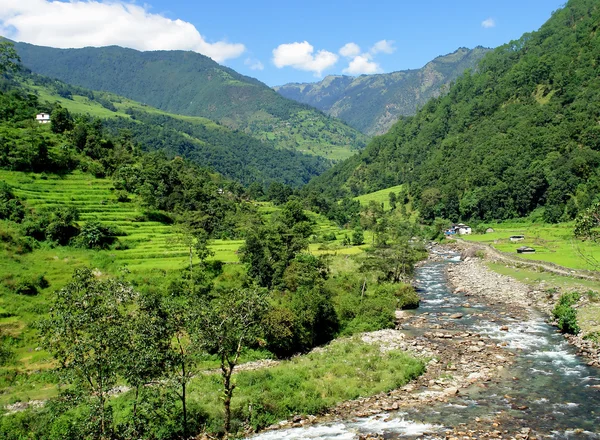 Рисовые поля и свежий воздух. Гималайский пейзаж — стоковое фото