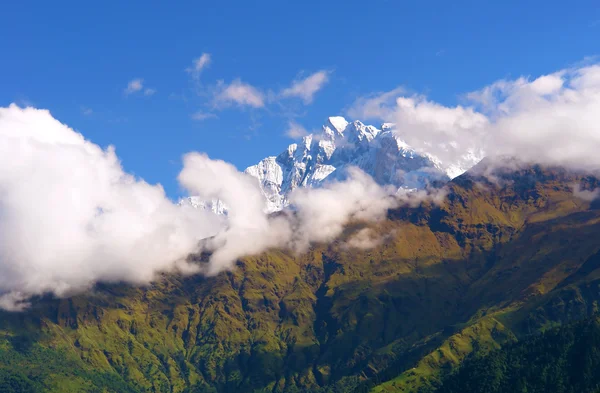 Widok góry annapurna, trek do podstawy obozu chronionego obszaru — Zdjęcie stockowe