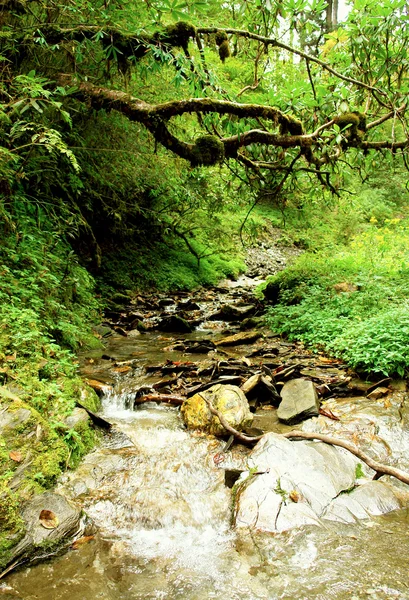 Mouvement du courant d'eau sur le fond de pierre — Photo