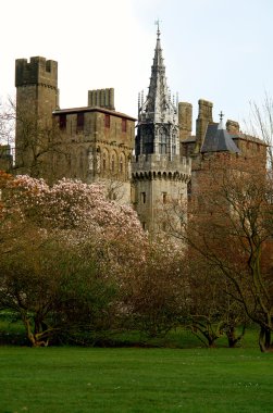 Bute park whit castle in the background, Cardiff, Wales.