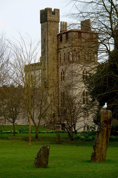 Bute park whit castle no fundo, Cardiff, País de Gales . — Fotografia de Stock