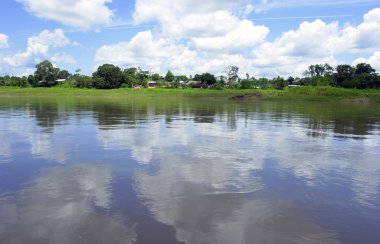 Amazon nehri manzarası