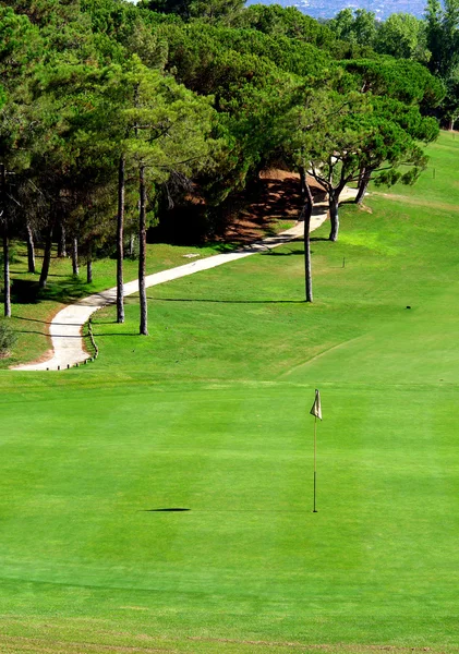 Campo de golf — Foto de Stock